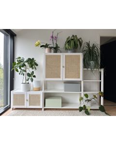 Hylly rottinkiovilla, Lundia x Vale&auml;iti